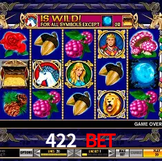 422 bet Rio de Janeiro - Bonus Terms